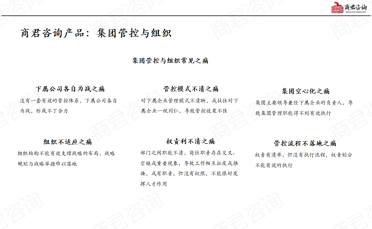 集团管控与组织