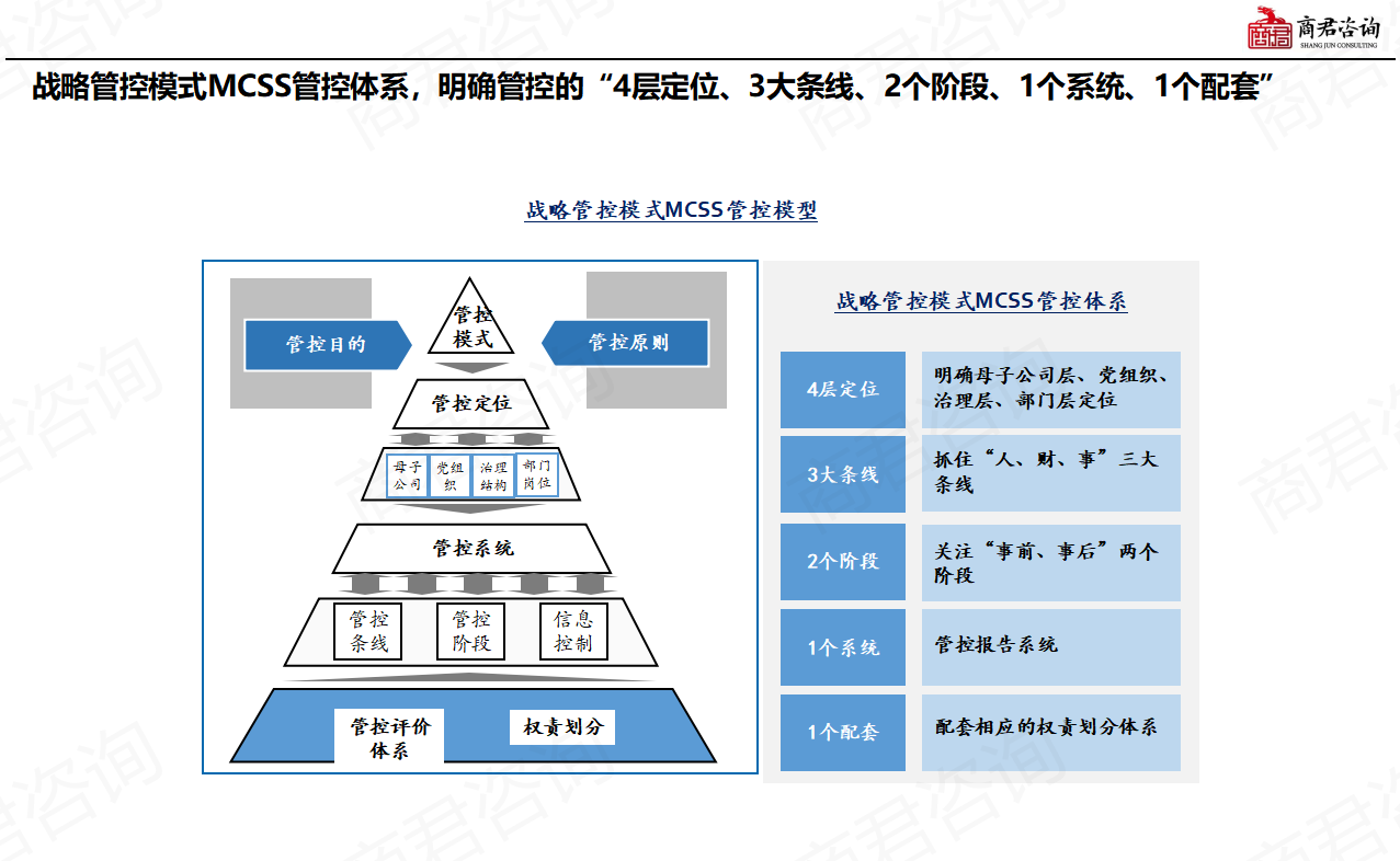 集团管控