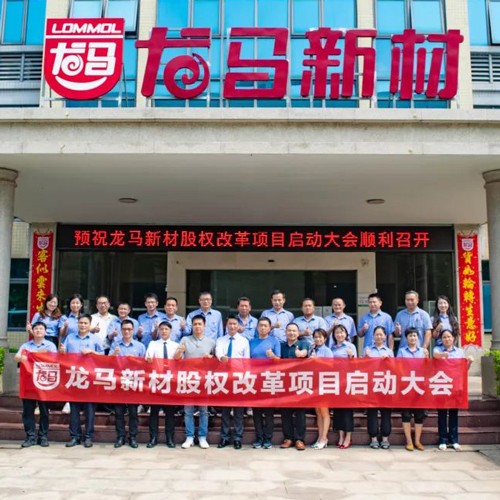 广东龙马新材料科技股权规划与激励咨询项目