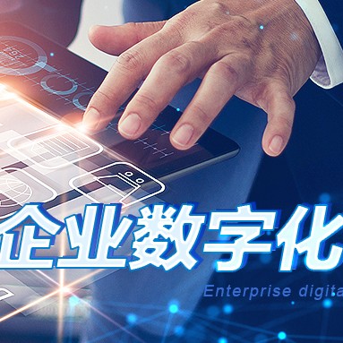 同略科技有限公司人才培育体系咨询项目