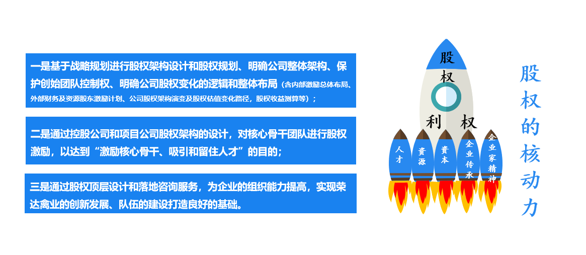 荣达禽业股份有限公司战略规划咨询项目