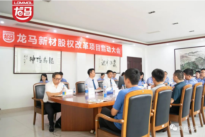 广东龙马新材料科技股权规划与激励咨询项目