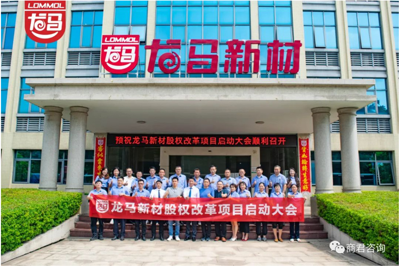 广东龙马新材料科技股权规划与激励咨询项目