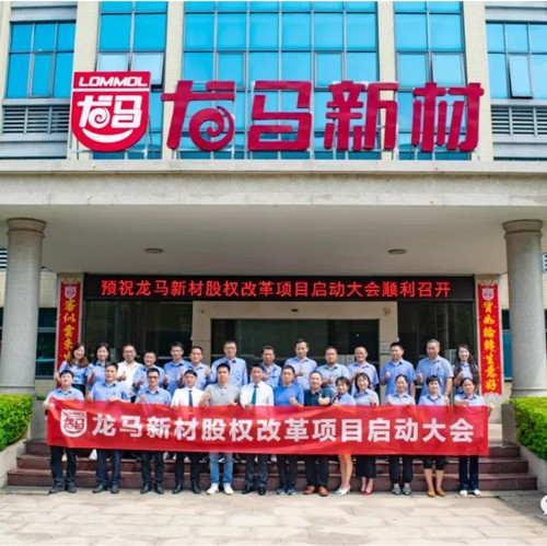 广东龙马新材料科技股权规划与激励咨询项目