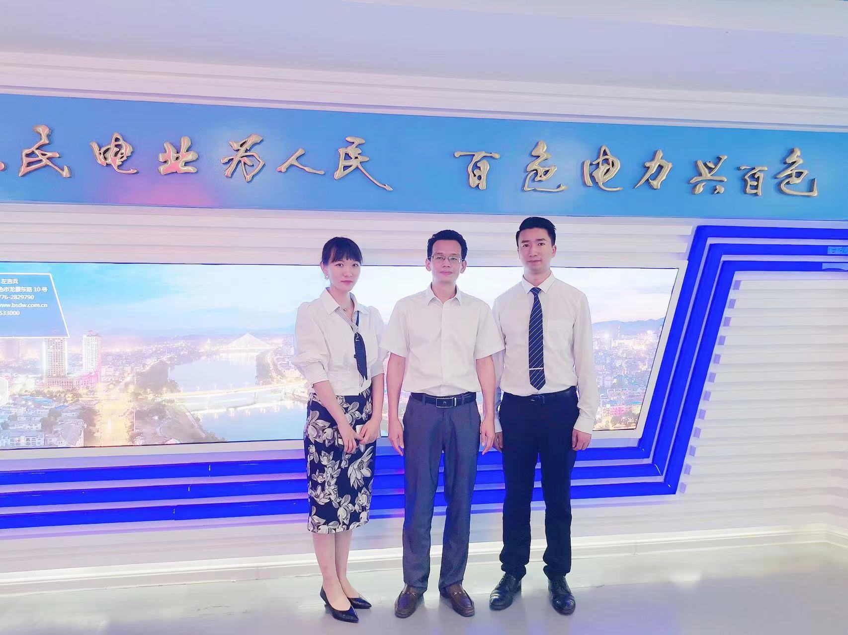 百色电力有限责任公司企业战略咨询与员工激励机制咨询项目