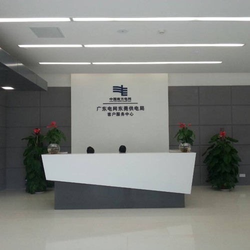 东莞市电力发展公司深化改革与薪酬体系咨询项目